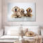 Brampt Golden Retriever de Brampt-107859413