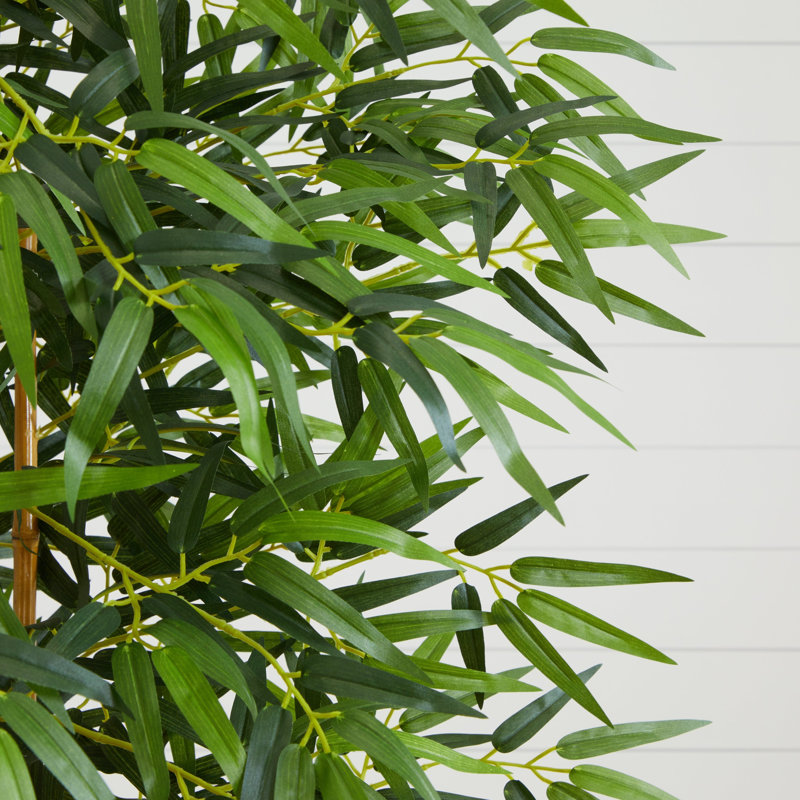 Fancy Style Bamboo Tree, 72" H x 36" W x 36" D