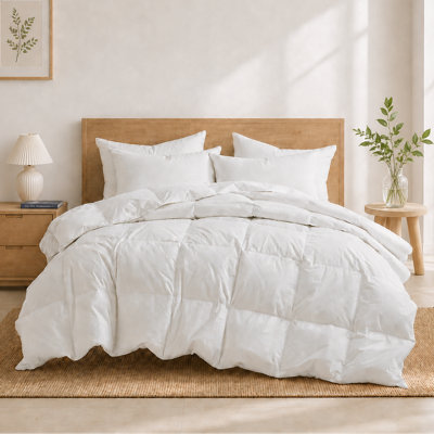  Luxury All Season Down Feather Fiber Comforter with Cotton Cover