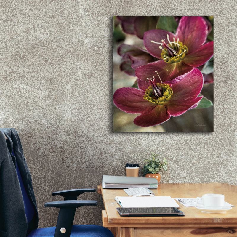  «Lenton Rose V» par Debra Van Swearingen, art mural sur toile, 26 po x 30 po