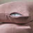 Decorative Throw Cushion Covers-70158555-70158548