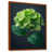 Brown Floater Framed