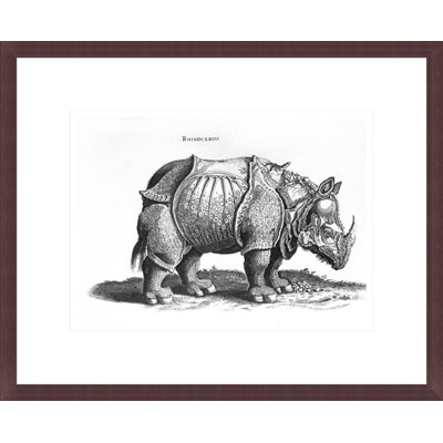 «Rhinoceros no 76» par «historique animal» par Conrad Gesner (1516-65) par Albrecht Dürer, impression giclée encadrée