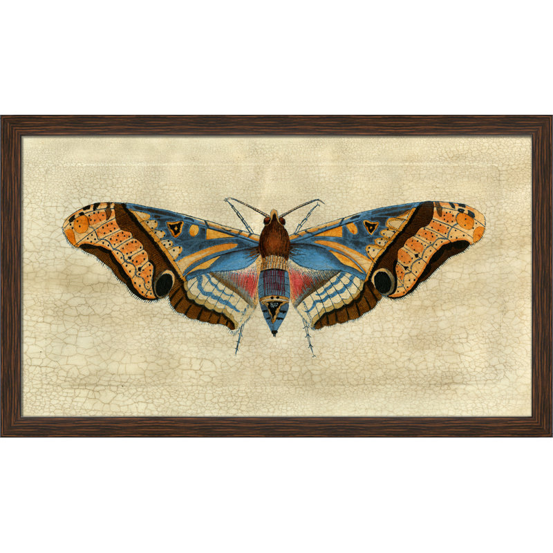 Grand Moth II Painting