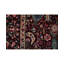 Jahan Wool Oriental Area Rug