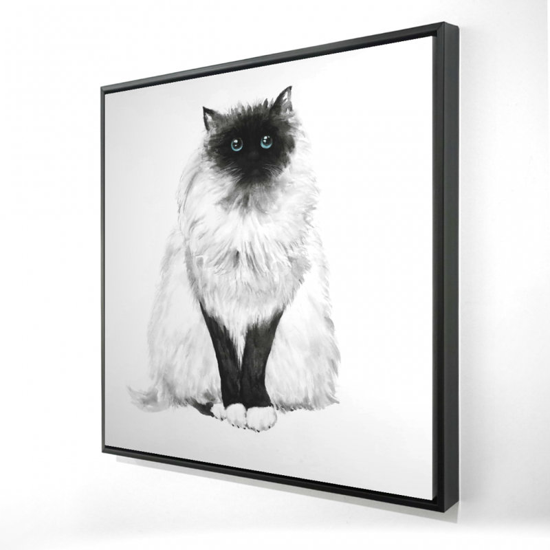 «Blue Eyes Fluffy Siamese Cat» sur toile