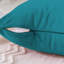 Heavy Crushed Classic Velvet Throw Pillow Cover (Pack of 4)-842591849