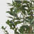 150Cm Artificial Laurel Tree-171276390