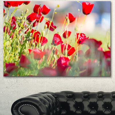 Beautiful Red Poppy Flowers View' Photographic Print on Wrapped Canvas -  Design Art, PT12620-40-30