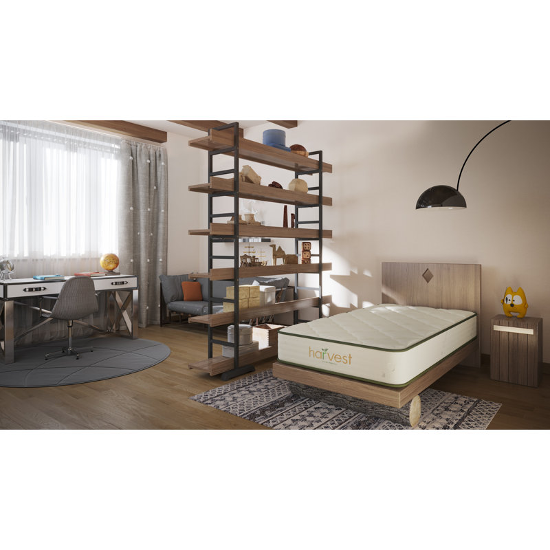 Twin Organic Latex Foam Pillowtop Mattress