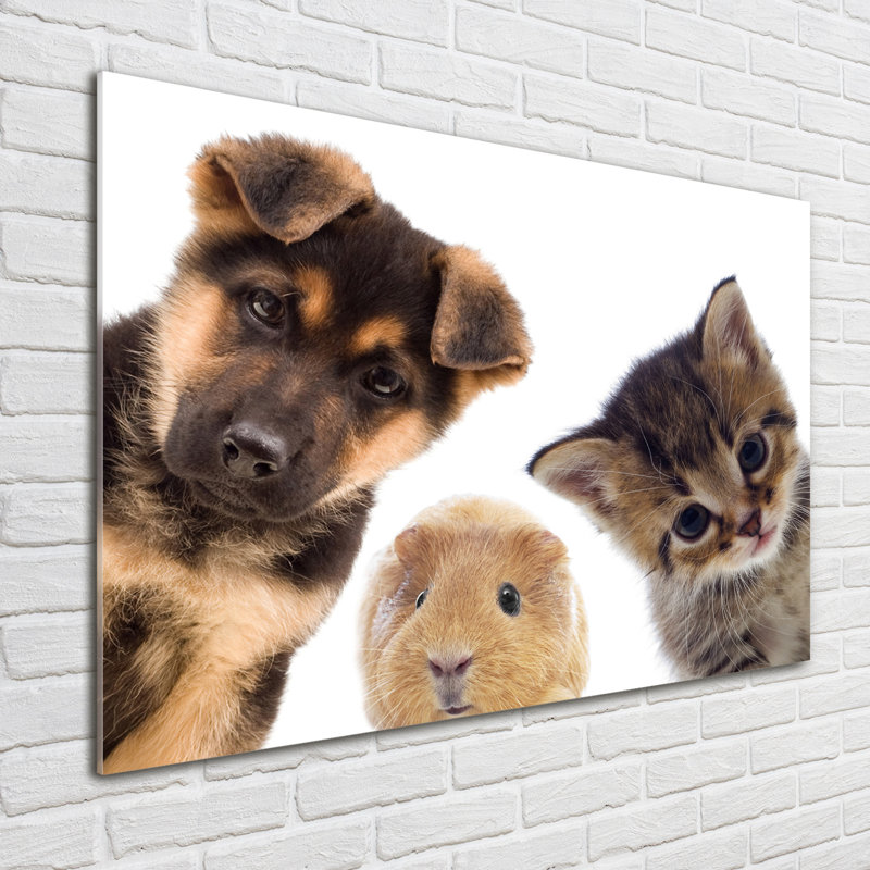 Pets - No Frame Print on Glass