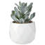 Plante succulente artificielle en pot 4 pièces