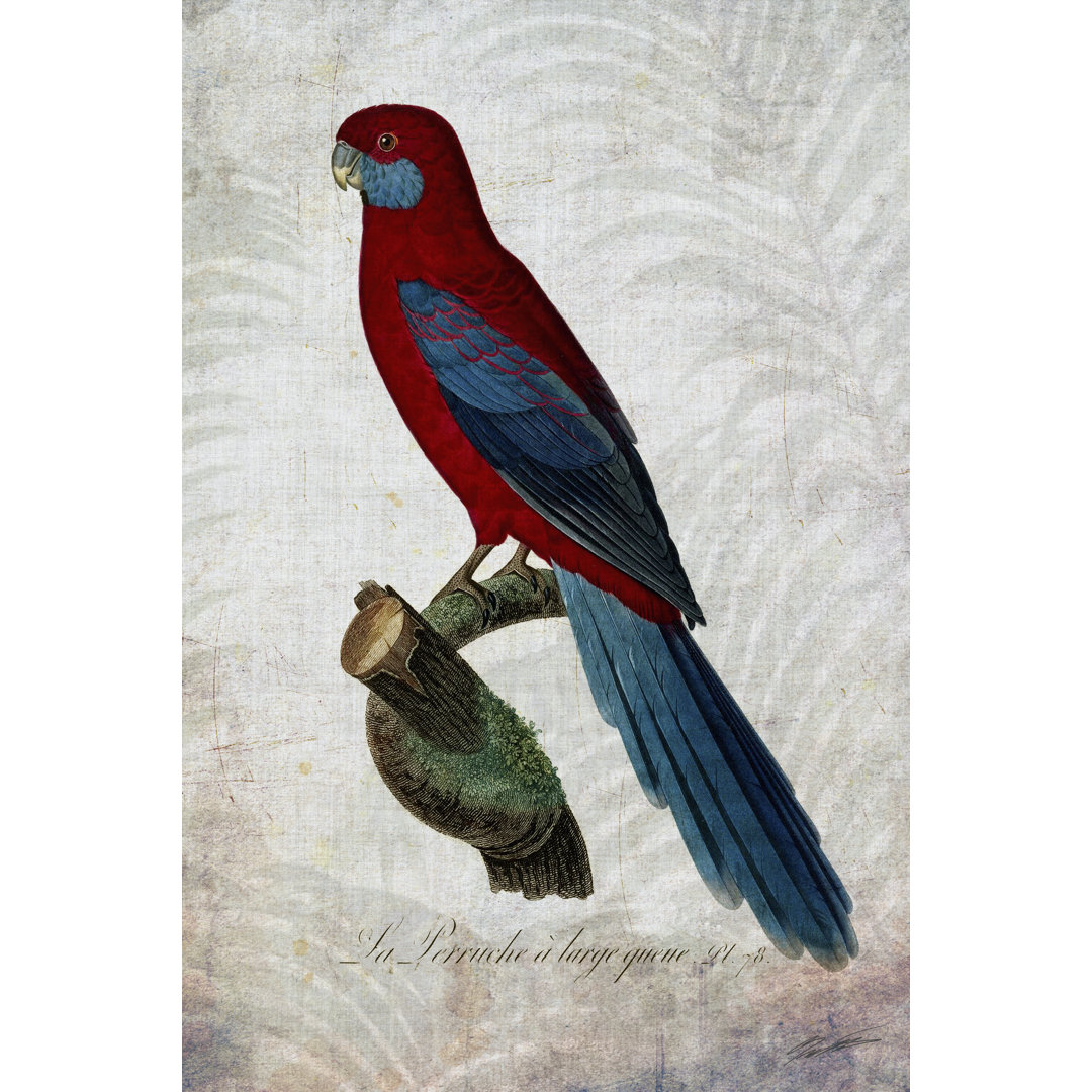 Parrot Jungle II by John Butler - Wrapped Canvas Painting