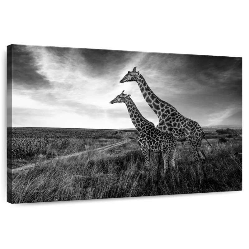 Brampt Reticulated Giraffe, 32" H x 48" W