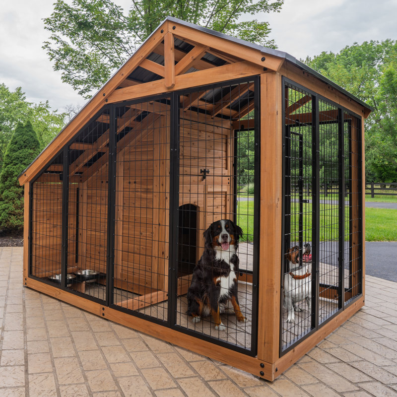 Chenil d'extérieur en bois de cèdre avec toit en acier galvanisé et porte d'alimentation facile d'accès Backyard Discovery Waggin