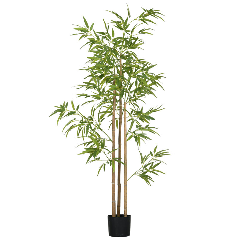 70.75'' Faux Bamboo Tree in Cement Pot