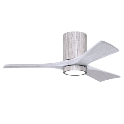 Olivier à 3 pales DEL standard avec ventilateur de plafond et ensemble d'éclairage inclus