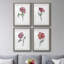 Watercolor Floral Contour I - ensemble de 4 peintures encadrées-2043580269-2043580267