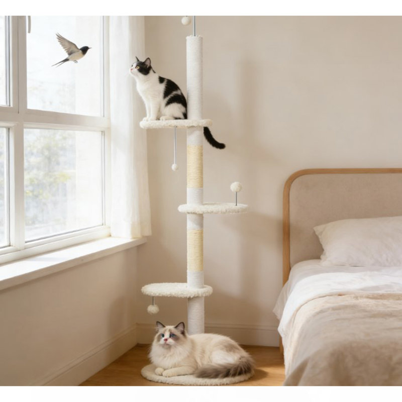 Arbre à chat, arbre à chat du sol au plafond