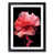 Black Framed selected