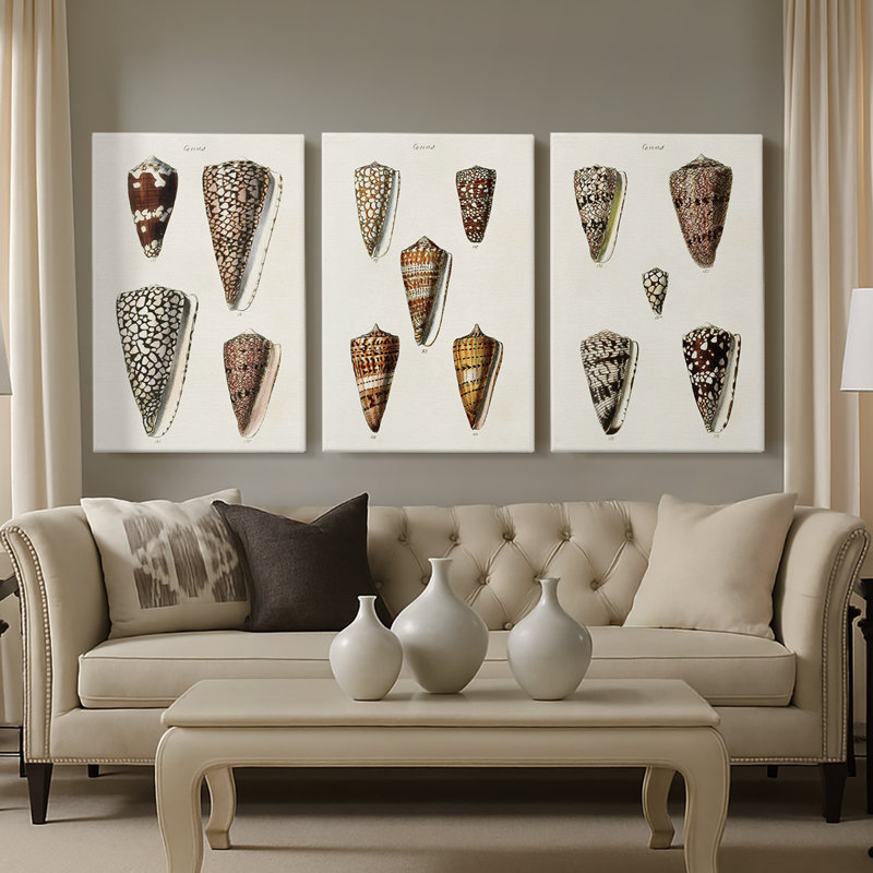 Cone Shell Collection I - Toile tendue avec châssis sur mesure - 3 pièces, H 27 po x l 54 po