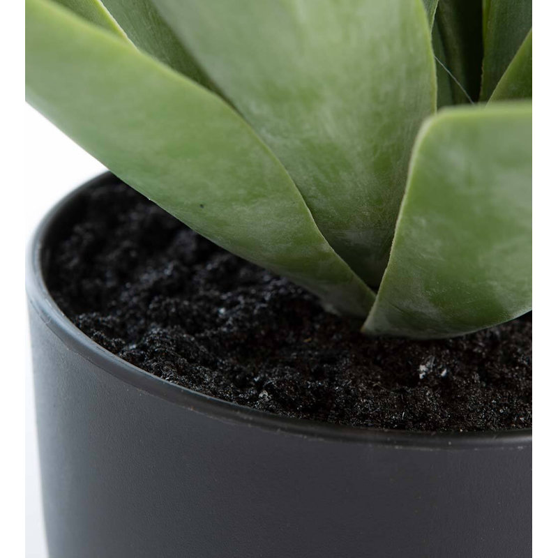 Plante grasse artificielle 14 po
