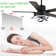 Eustolio 52'' DIY Shade Reversible Caged Ceiling Fan with Dimmable LED Light and Remote