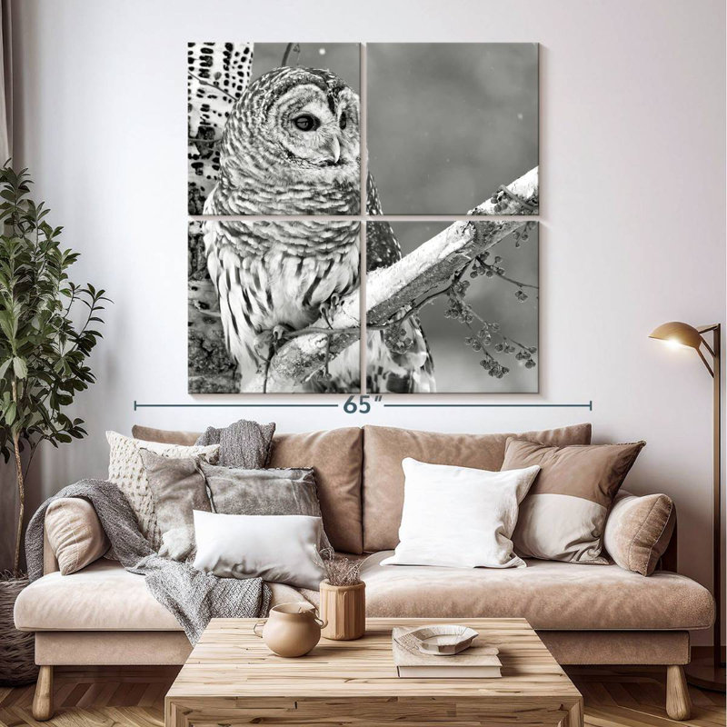 Hibou blanc Brampt BW, H 50 po x l 50 po