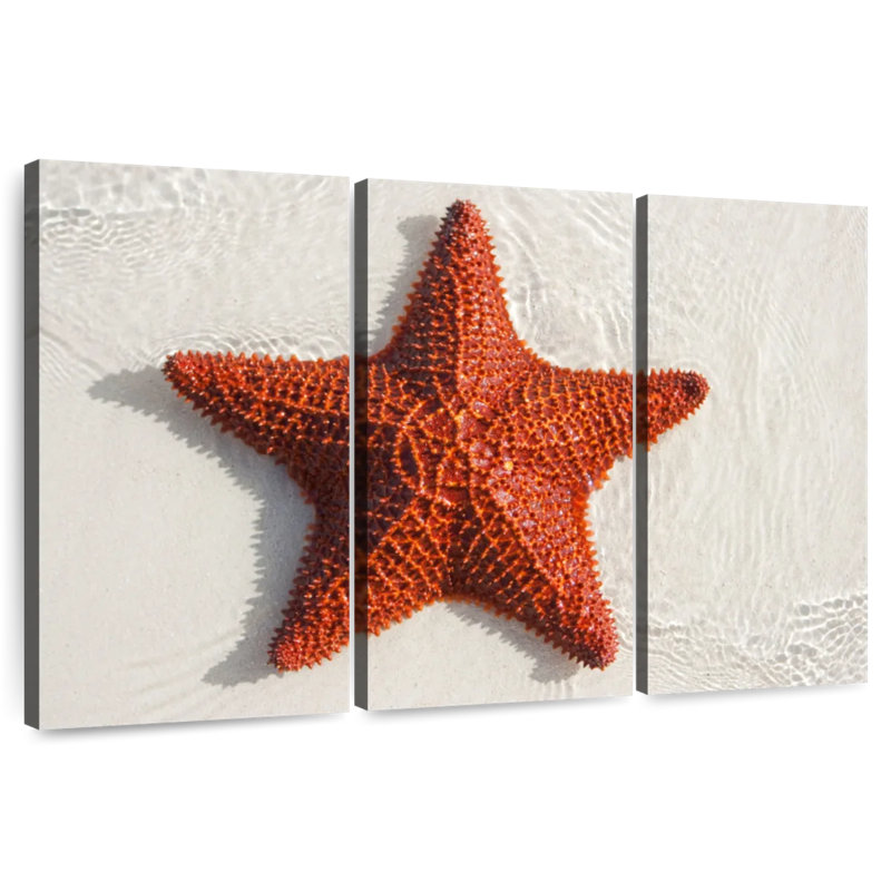 Brampt Beach Red Starfish, 24" H x 38" W