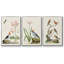 Oiseaux antiques dans la nature IV, 3 pièces-1662166644-1662166649