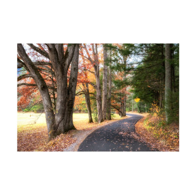 «Autumn Drive I» sur toile