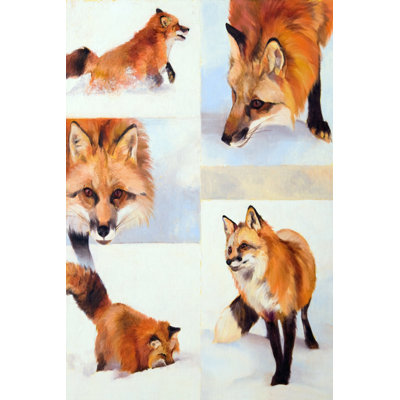 Vulpes V - Wrapped Canvas Art Prints
