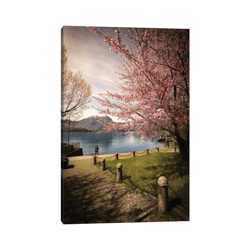 Sakura On Lake Como by Enzo Romano - Wrapped Canvas Print, 30.48cm H x 20.32cm W x 1.905cm D