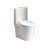1.1/1.6 GPF Tornado Flush One-Piece Toilet For Bathrooms,Siphonic S-Trap 12",Elongated Bowl With Soft Close Seat,Powerful Dual Flush MAP 1000G,Comfort Chair Seat ADA Height 17"-120638406