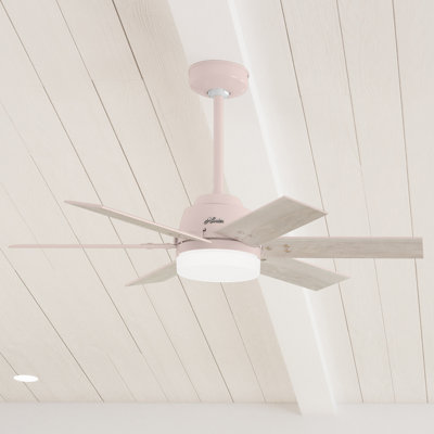 44" Pacer 6 - Blade Ceiling Fan with Lights and Remote