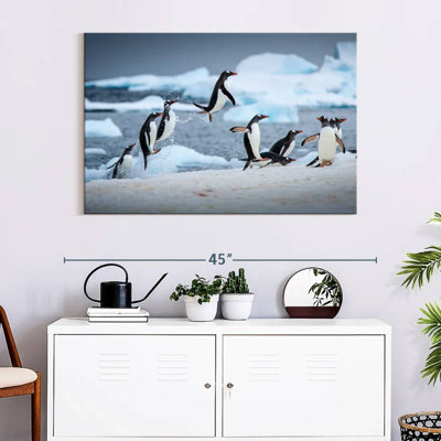 Penguins Jumping On Ice