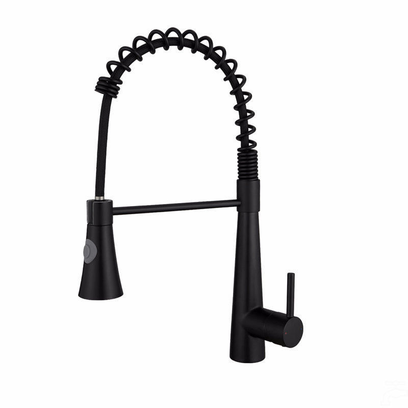 Robinet de cuisine commercial noir avec douchette extractible, robinet d'évier de cuisine à poignée simple