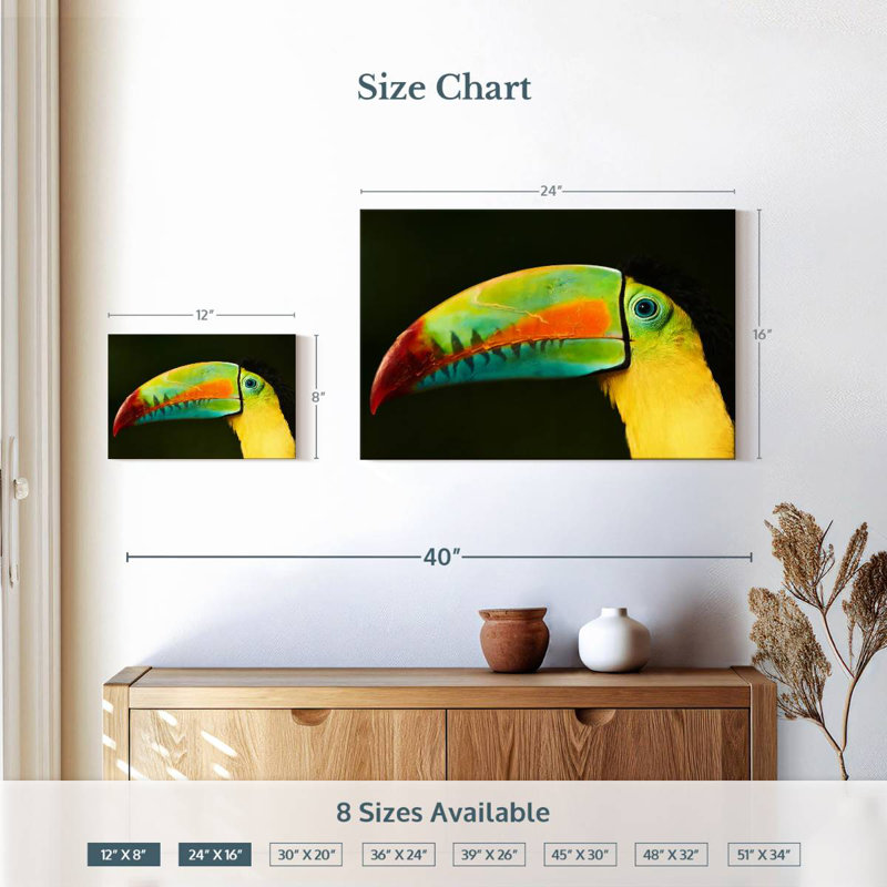 Bec long Brampt Toucan, H 16 po x l 24 po
