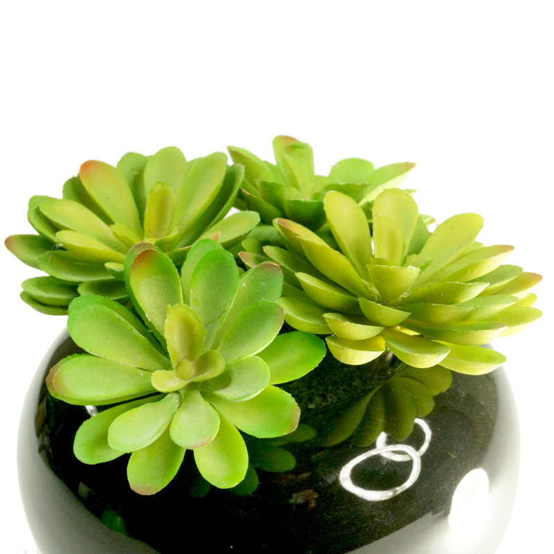 7.5'' Faux Succulent in Ceramic Vase