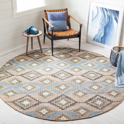 Goodwyn Flat Weave Jute Southwestern Rug