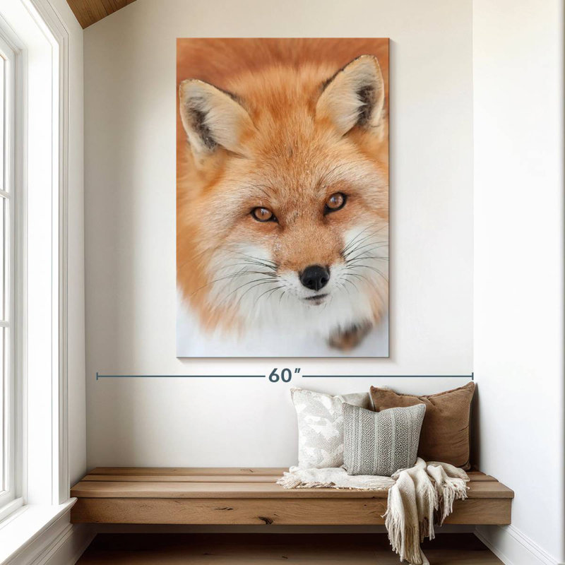 Brampt Fluffy Red Fox, 51" H x 34" W