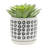 S/2 5/6" Aztec Planter W/ Saucer