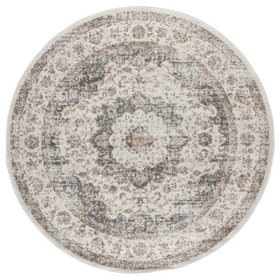 Evoke Performance Oriental Rug