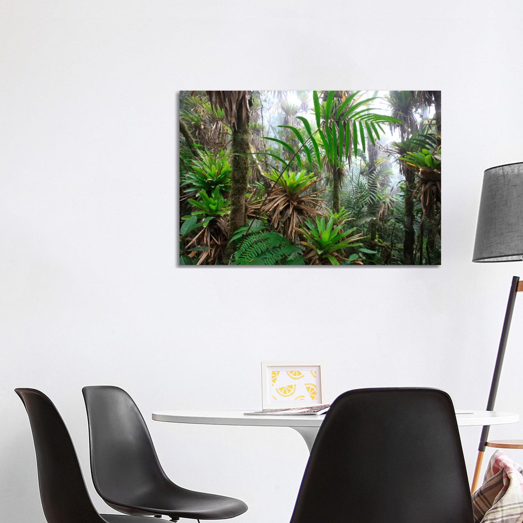 Bromeliad And Tree Fern At 1600 Meters Altitude In Tropical Rainforest, Sierra Nevada De Santa Marta National Park, Colombia III by Cyril Ruoso - Wrap