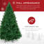 Sapin de Noël-895635677