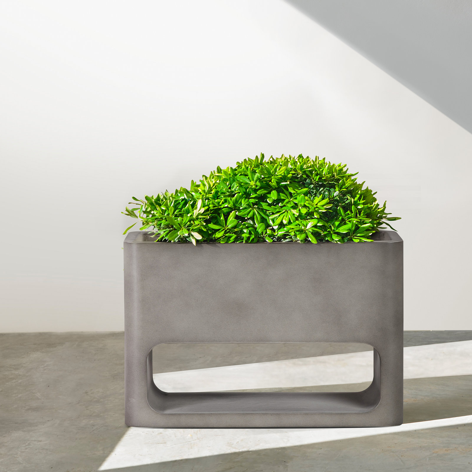 Camberlynn Planter Box, Gray