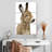 Brampt Baby Donkey-108601278