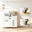 77 cm W 5 -Drawer Wheels / Casters included Mobile Filing Cabinet