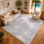 Oriental Area Rug-83243404