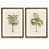 Maple Framed Paper